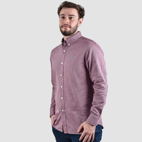 Men's Oxford Shirt with Small Lion Embroidery