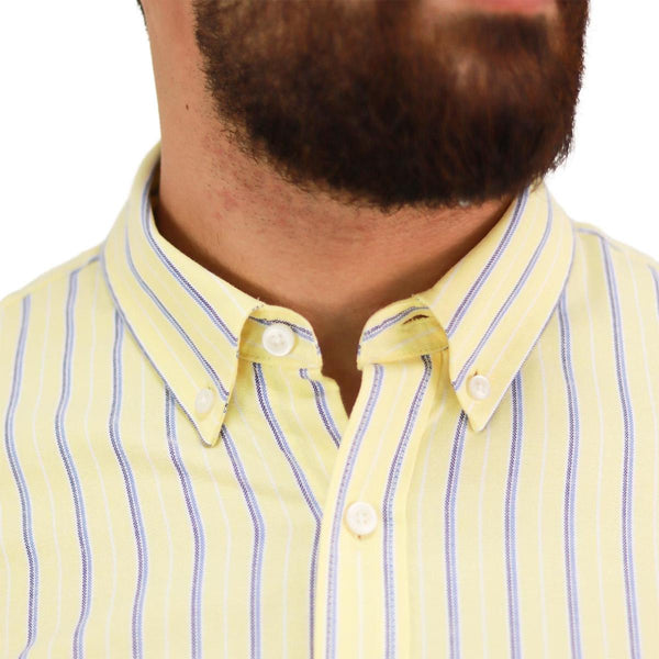 Men's Oxford Shirt with Small Lion Embroidery