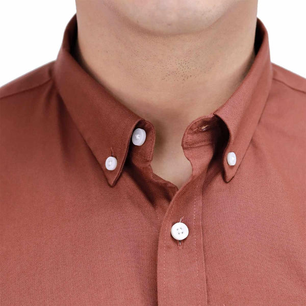 Men's Oxford Shirt with Small Lion Embroidery